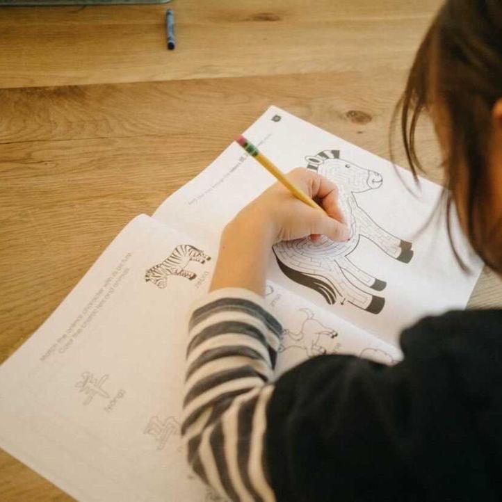 Learn Animals in Mandarin Coloring & Activity Book